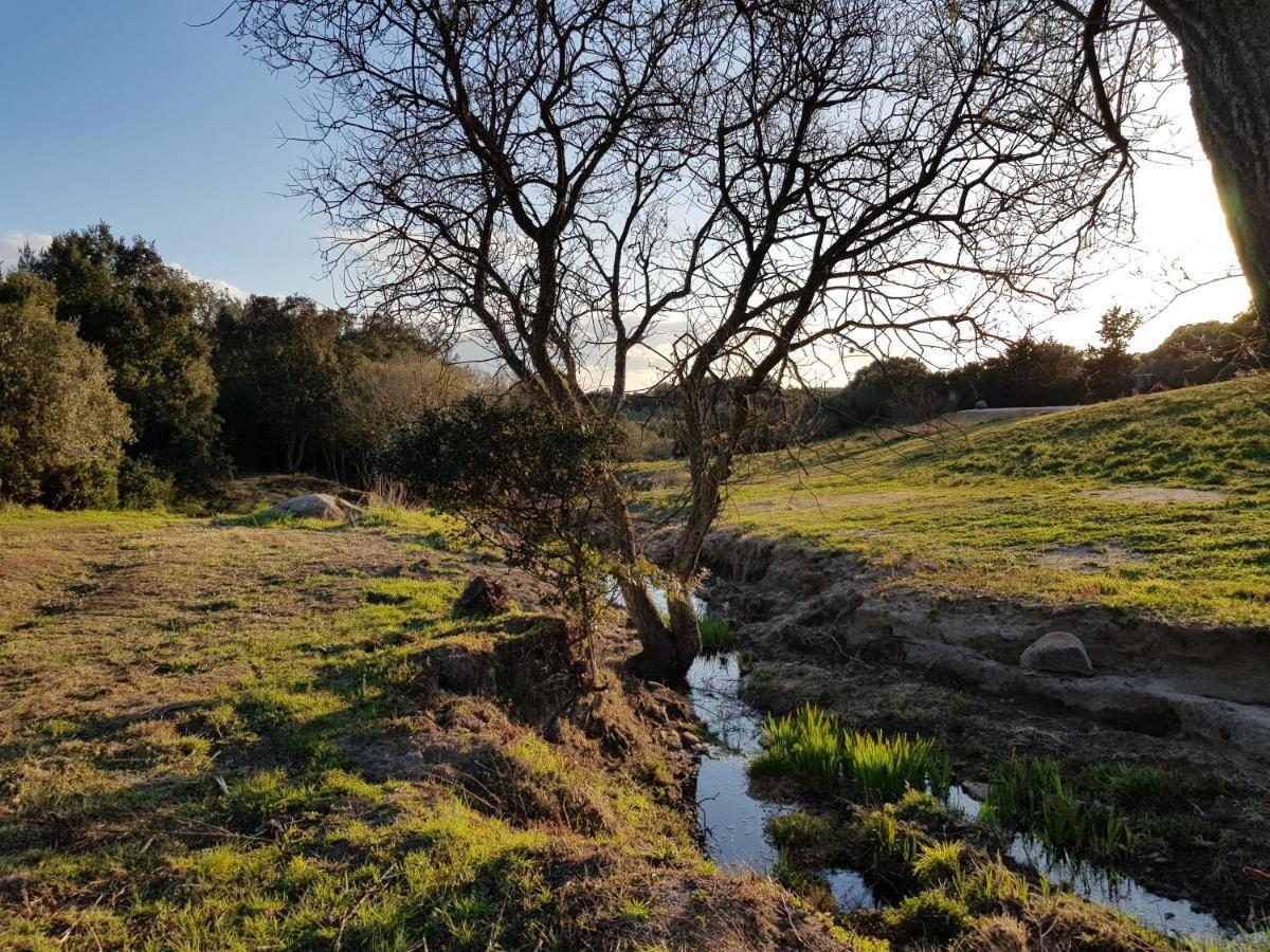 Aldo Countryside Bed & Breakfast Arzachena Exterior foto