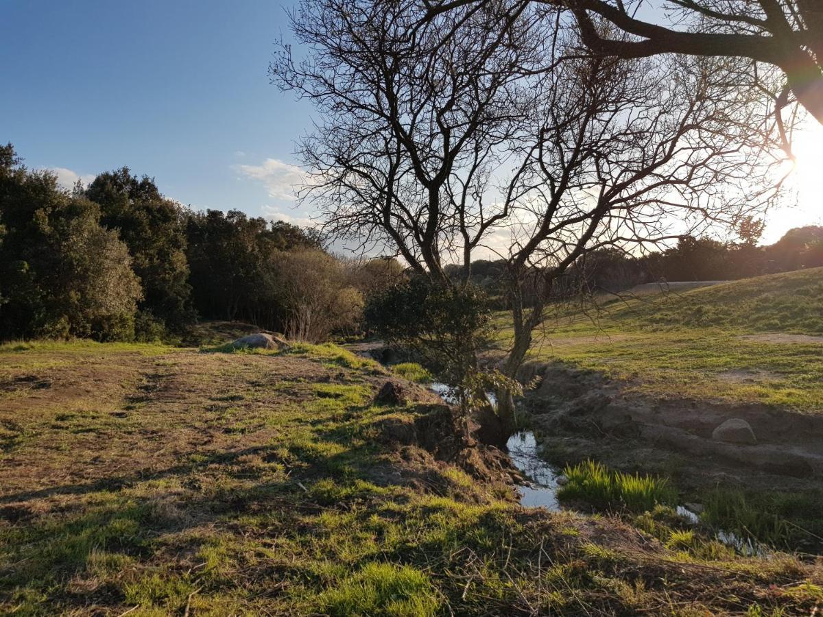 Aldo Countryside Bed & Breakfast Arzachena Exterior foto